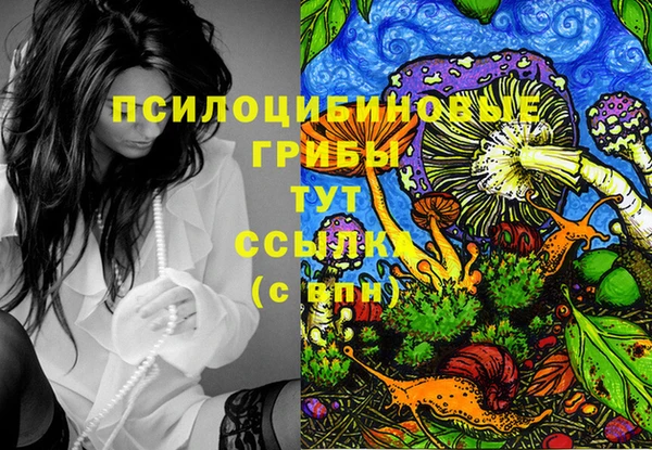 кокаин перу Вяземский
