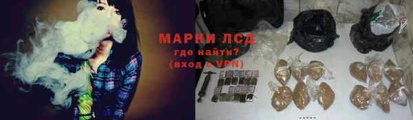 PSILOCYBIN Вязники