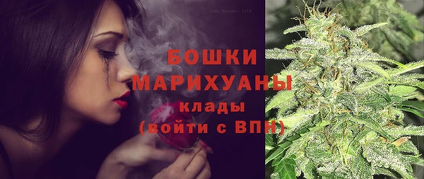 PSILOCYBIN Вязники