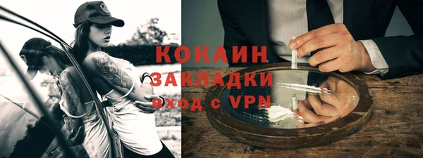 прущие грибы Волосово