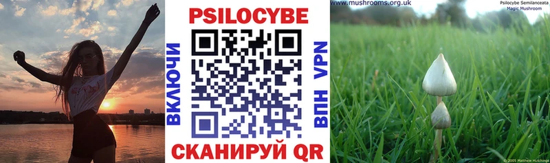 Псилоцибиновые грибы мухоморы  цены наркотик  Улан-Удэ 